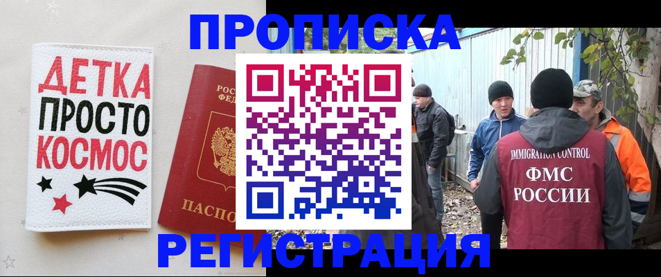 прописка поиск в Нововоронеже